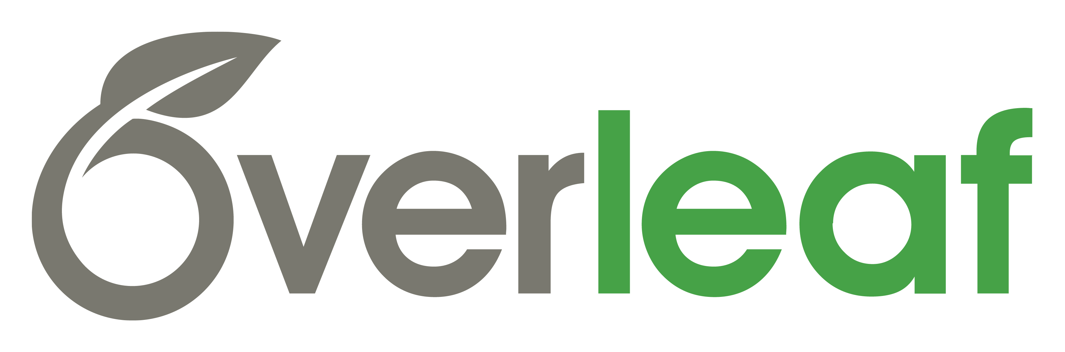image from Overleaf